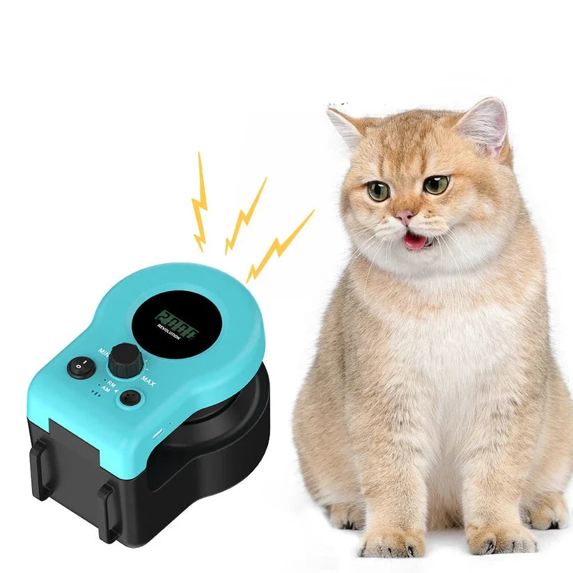 Cat Cove Running Toy